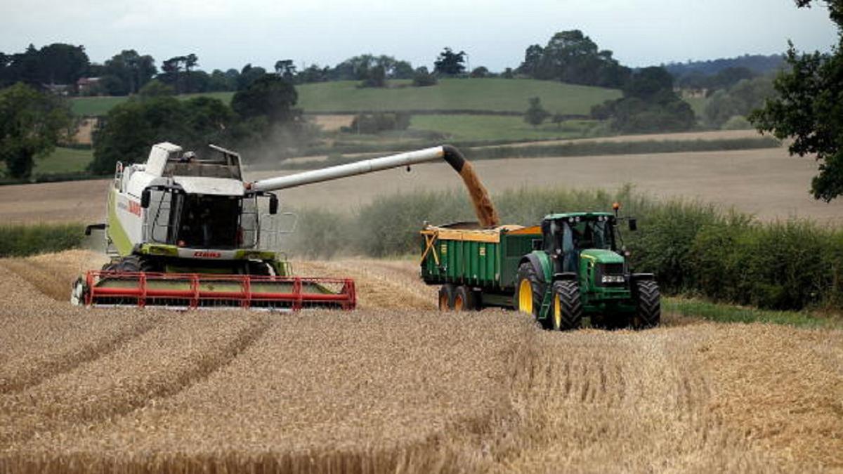 بعد الإعلان عنها منذ سبتمبر..   انطلاق صرف التعويضات للفلاحين المتضررين من الجوائح